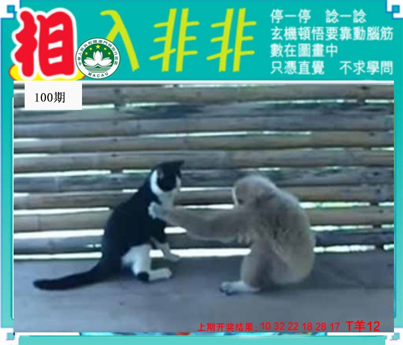 100期相入非非[图]